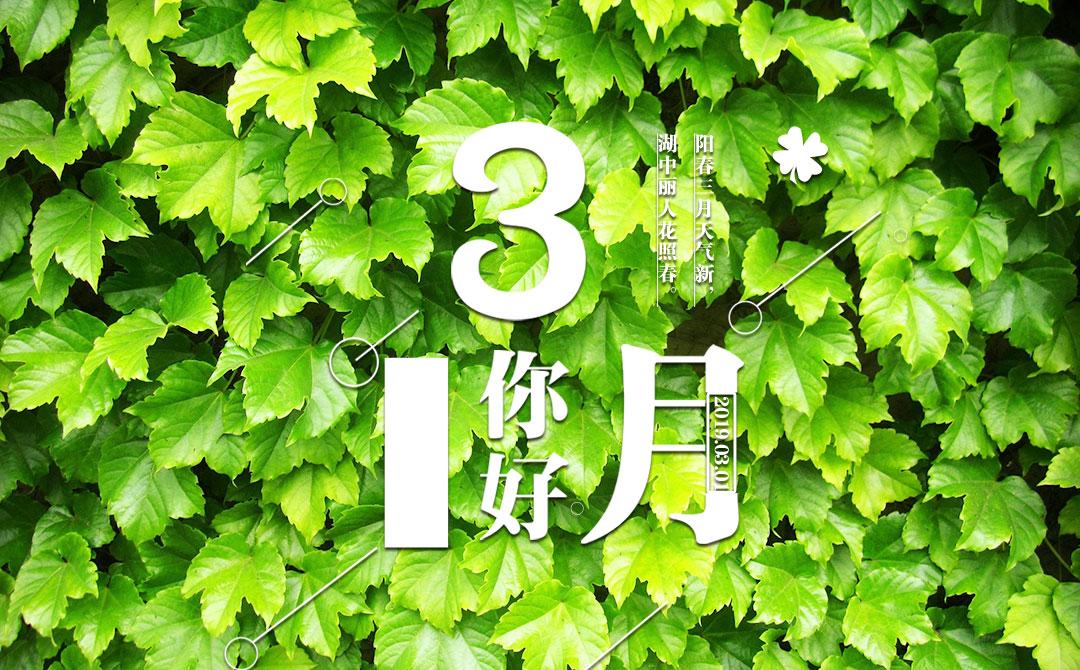 来了老弟 | 最适合装修的三月