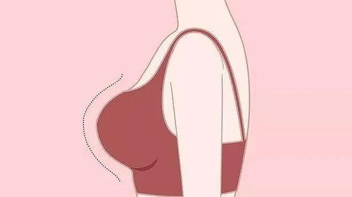 v2-0d2324e038d22155db379a573eaf4ac9_1440w.jpg?source=172ae18b