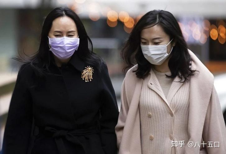 对如何看待孟晚舟回国后的首次亮相及佩戴暗含“破茧成蝶”寓意的蝴蝶状胸针的知乎提问的回答 - 知乎