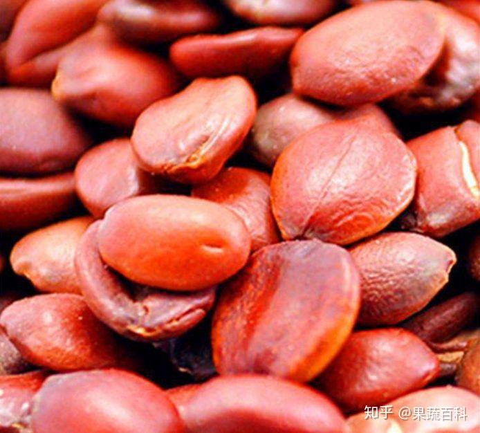怎么挑枣仁 - 知乎