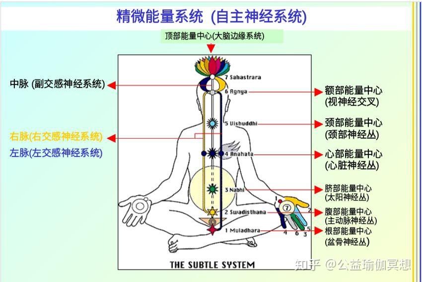 rai)在《医学科学的启迪》一书中写道:"西医目前阶段不能从整体看待