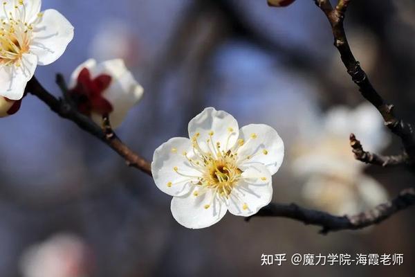 被同学笑 口吃 的孩子 用3个月练就了一口流利的英文 知乎