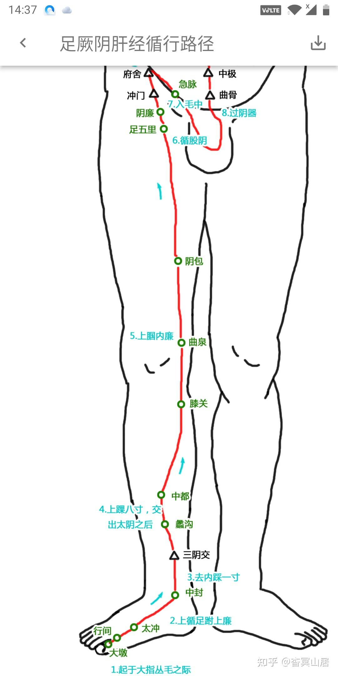 足三阴三阳经络循行及腧穴应用小考 - 知乎