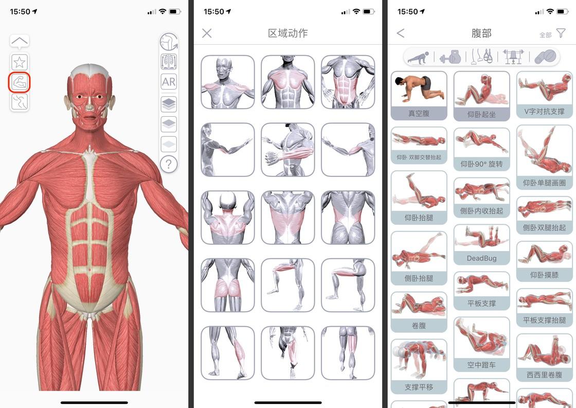 健身小白如何健身
