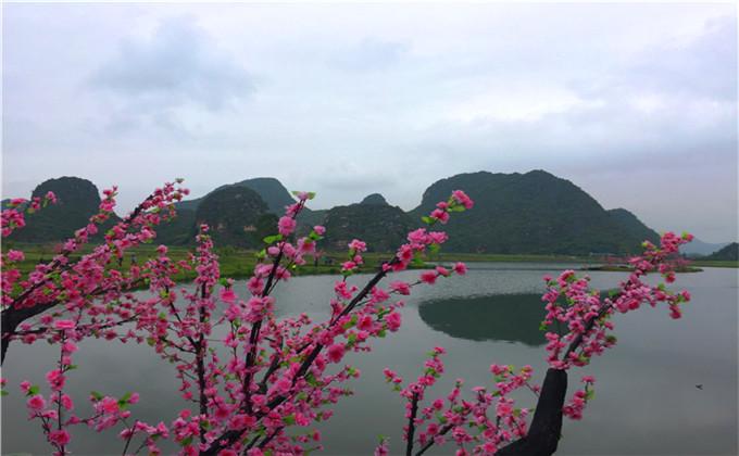 打卡三生三世十里桃花爸爸去哪了落地生根拍摄地云南普者黑