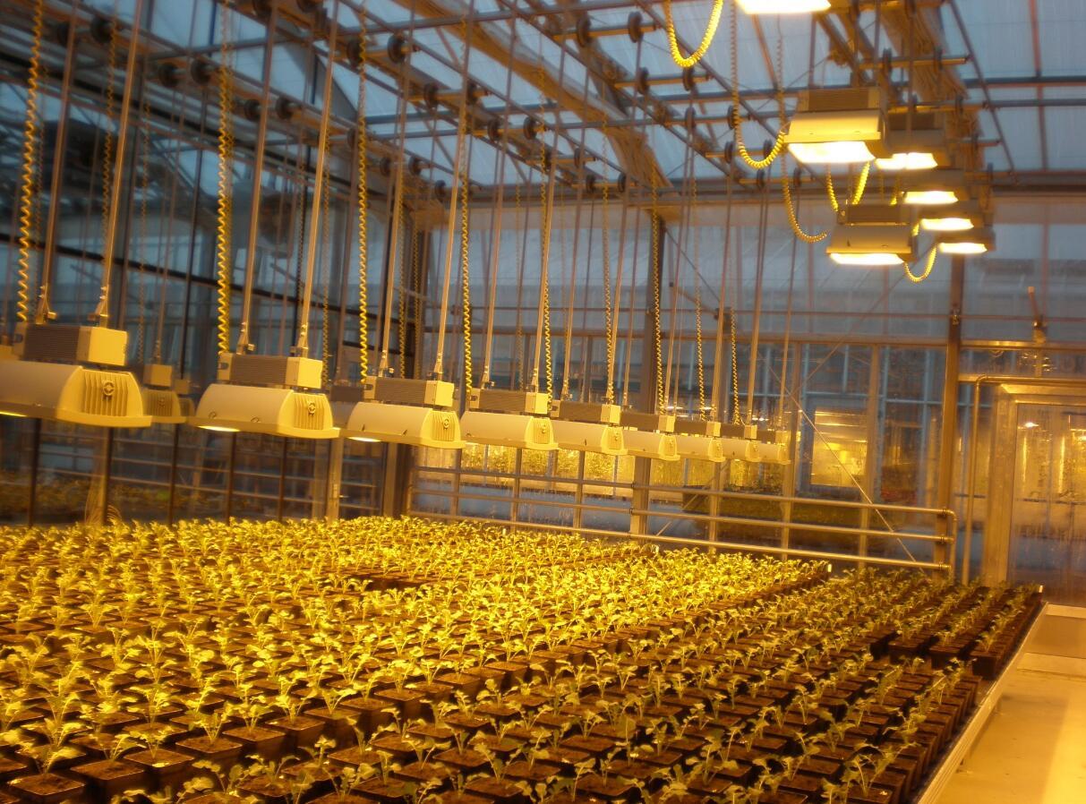 第四章补光灯在温室里的布置