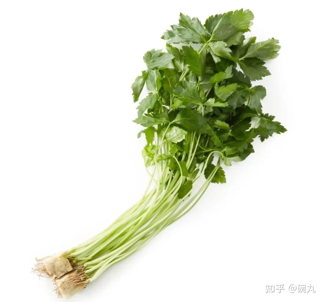 水芹与三叶芹|日本人和中国人爱吃的芹菜有啥不一样吗? - 知乎