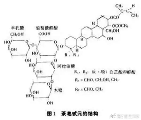 茶皂素,属于皂素类物质,是一种结构复杂的糖苷类化合物.
