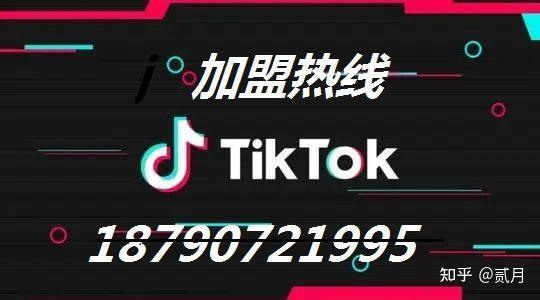 tiktok里面有啥-tiktok里面有啥,为什么那么多人说恶心