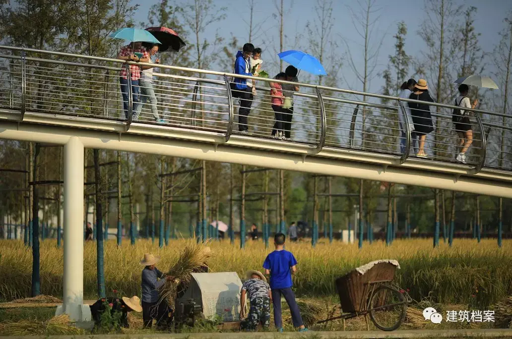 俞孔坚一场大脚美学革命