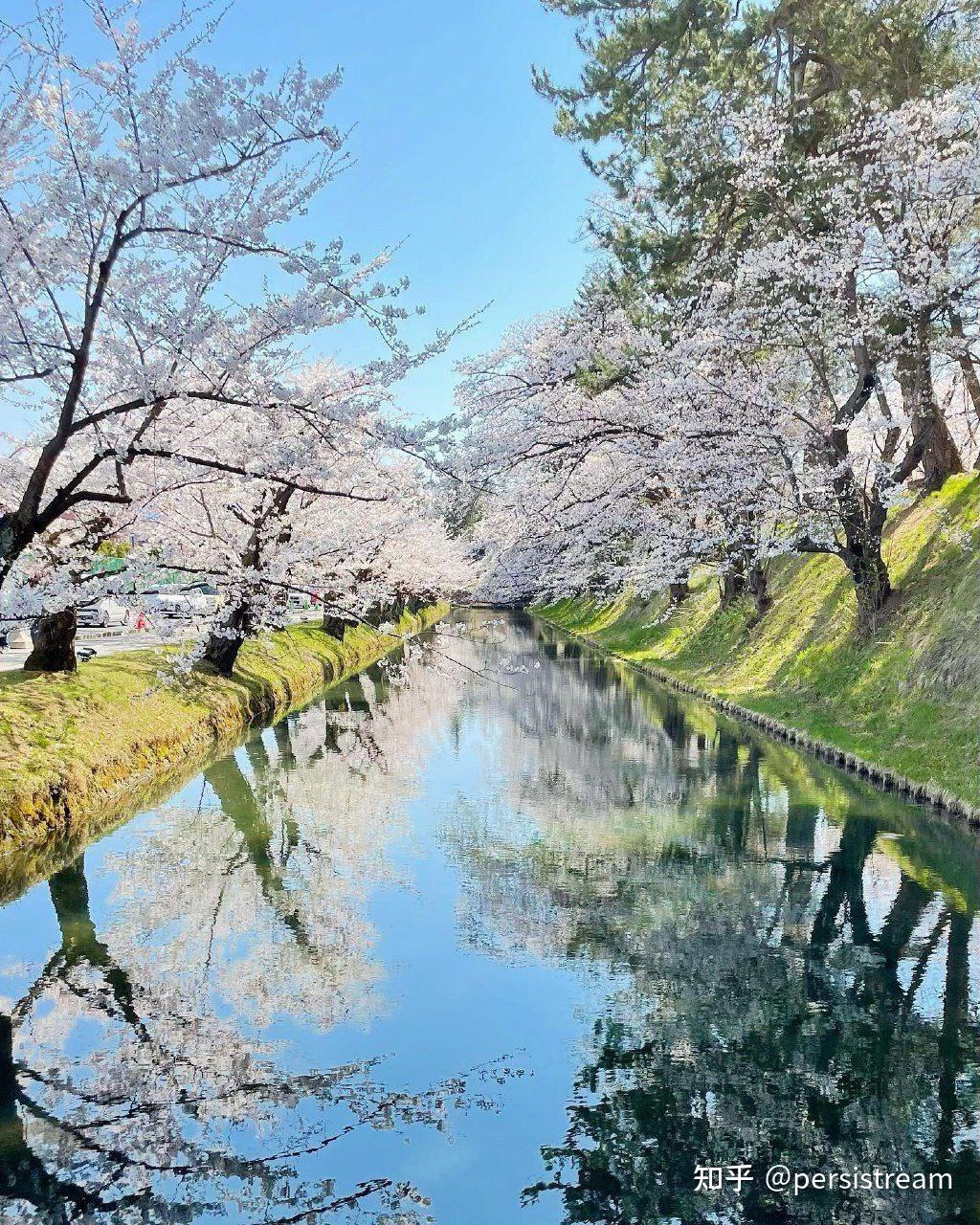 旅游推荐:🏯日本🇯🇵,弘前公园 - 知乎