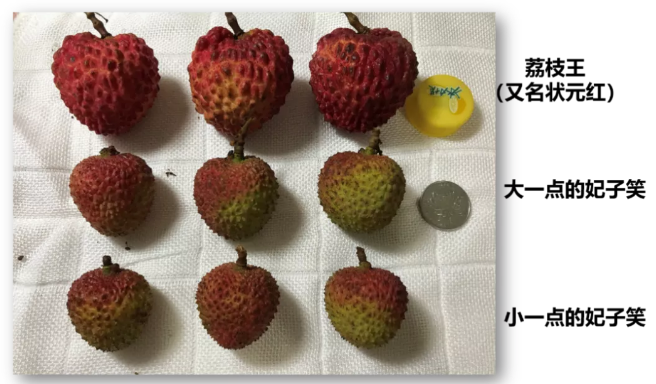 荔枝那么甜,吃完居然低血糖?糖友应该这么吃 - 知乎