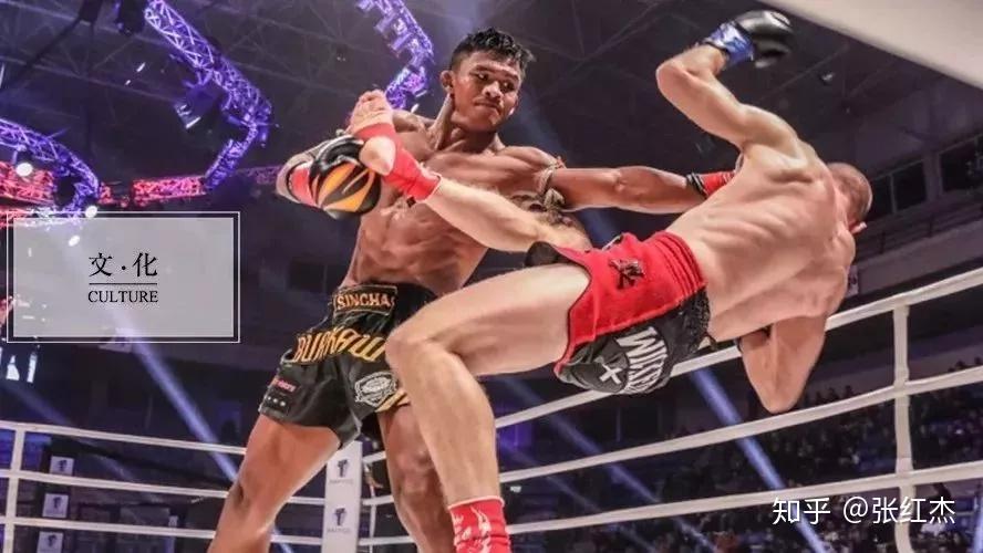 自由搏击和散打的区别是什么 v2-0db7d444e3f32e697d1c914c364045d9_r.jpg