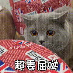 动态微信制作图片软件_微信制作动态图_动态微信制作图片大全