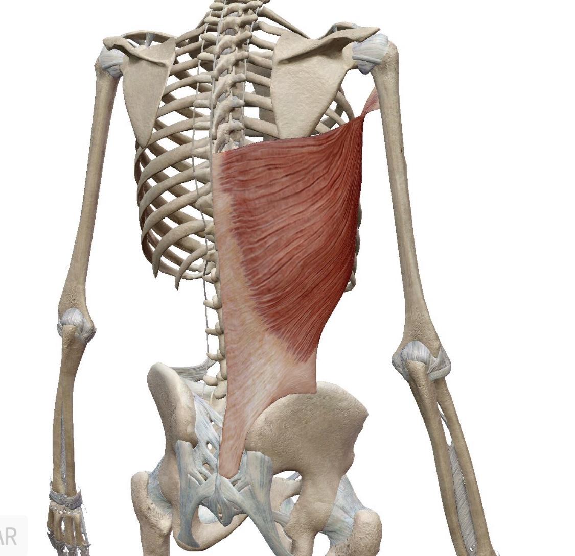 你要是核心再弱一点,基本就是靠肌肉代偿拉起来的好