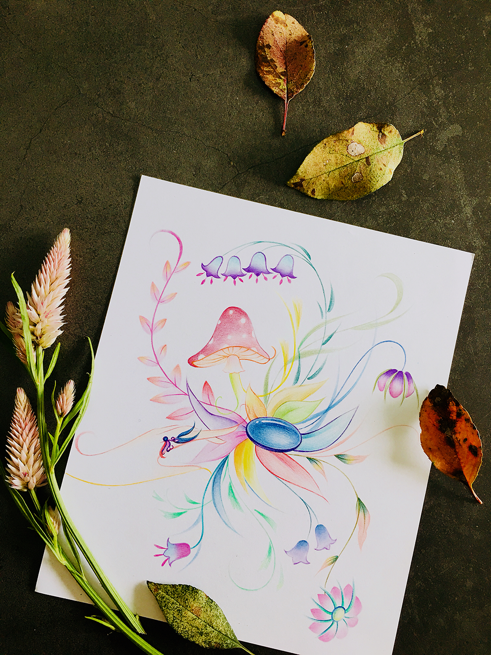 成人美术 | 适合初学者练习线条,指尖生花的感觉,彩铅绘画教程,凤尾花