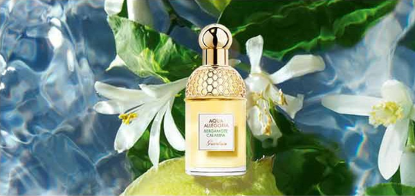 一,花香调女士香水(味道鲜明,清新甜美)