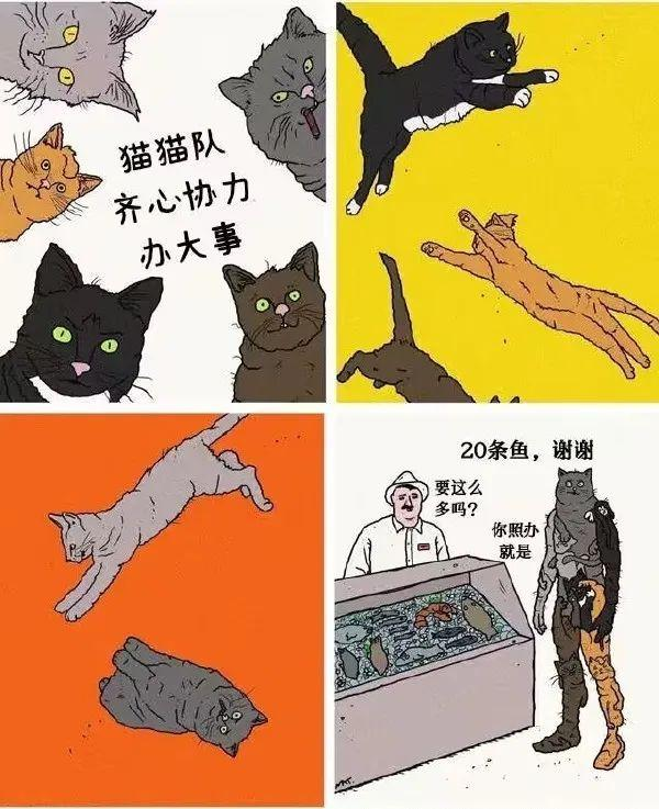 你有哪些让人笑到肚子疼的搞笑图片?(20) - 知乎