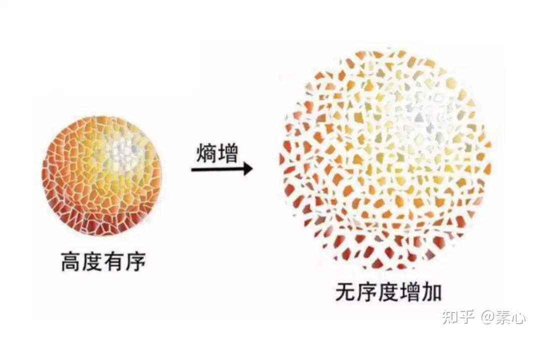 熵减-变革的底层逻辑 - 知乎