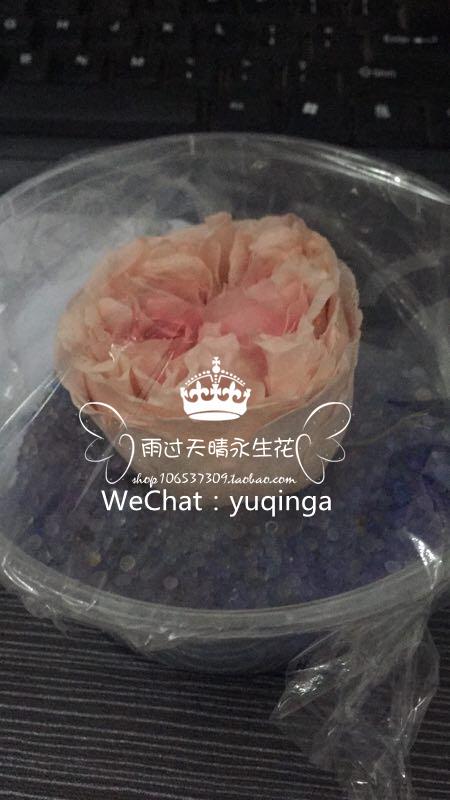 永生花ab制作液自己在家diy制作永生花