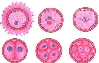 v2-0df6789249e008c39778187fcd73169b_1440w.jpg?source=172ae18b