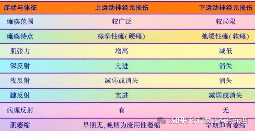 神经系统：运行传导束之锥体系和锥体外系 知乎 
