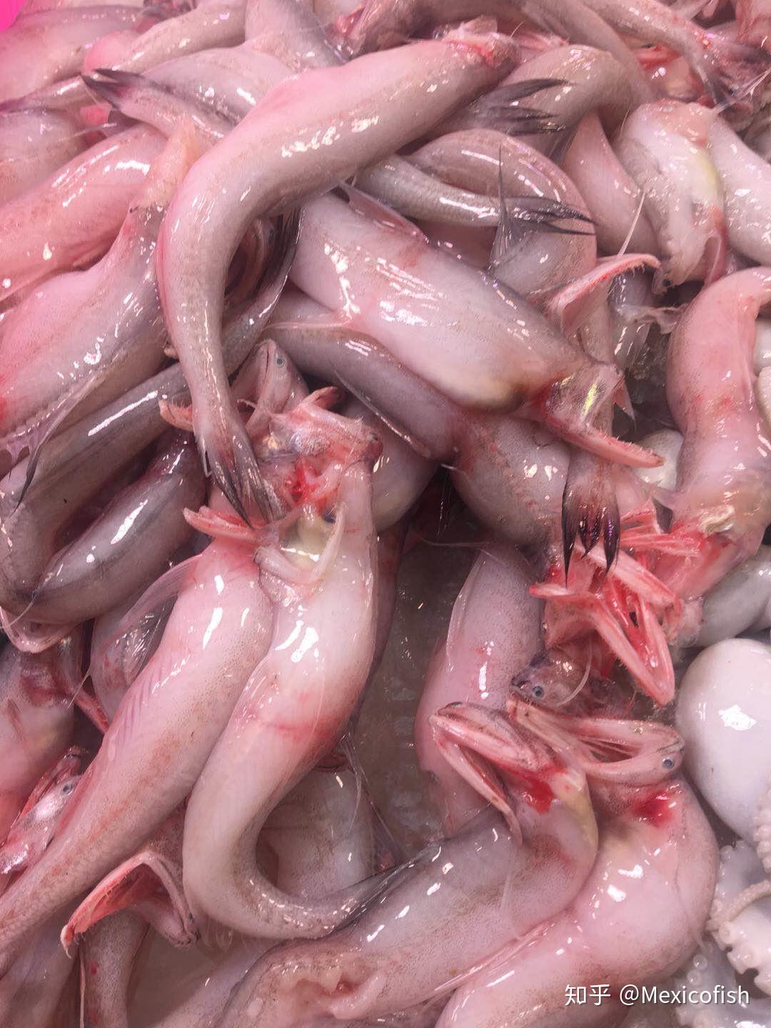 狗肚看起来也不错鸡蛋,面粉,淀粉调一个浓稠的浆0狗肚鱼对半开,裹上蛋