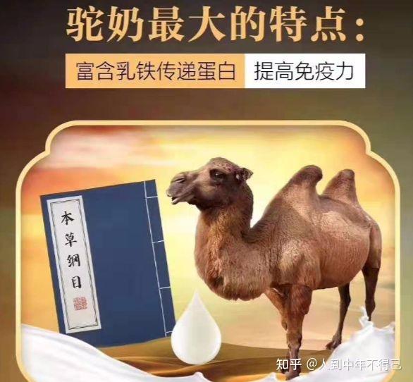 驼司令骆驼奶图片