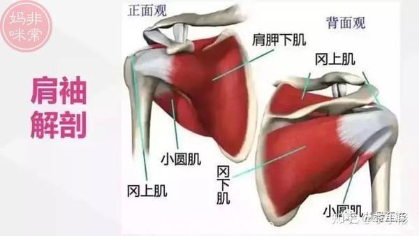 如何区分肩周炎与肩袖损伤 哪些肩袖损伤需要手术治疗 知乎