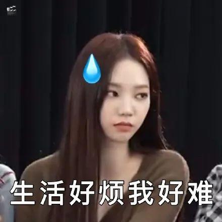 表情包 | 柳智敏沙雕系列