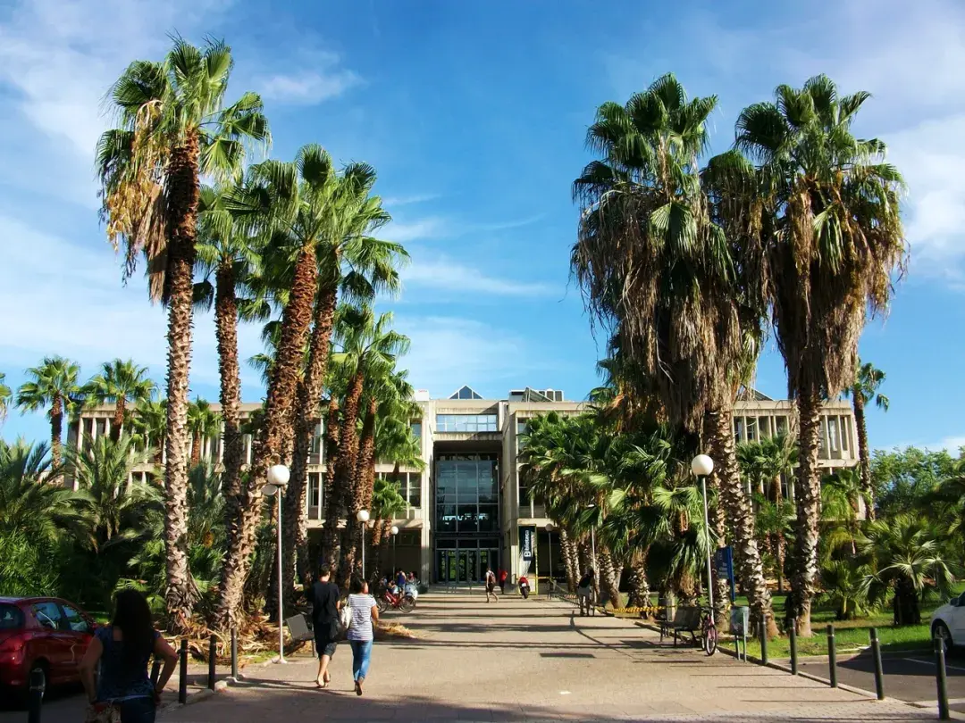 【西班牙名校攻略】东岸明珠,浴火重生——瓦伦西亚大学(已开放2022年