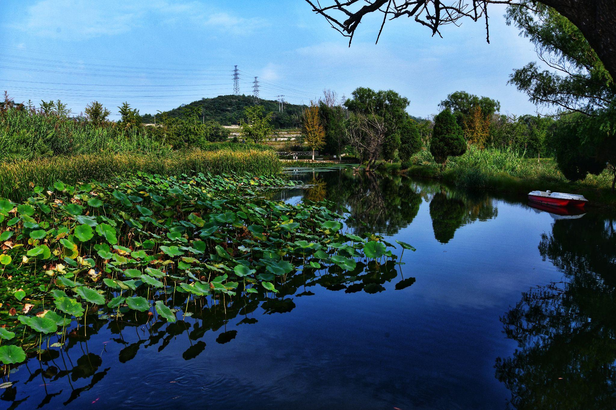 随拍随忆 - 知乎