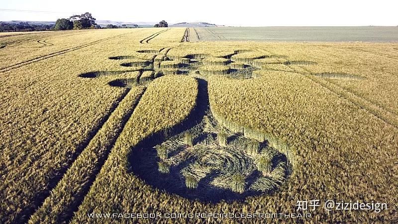 今年2020在全世界各地,特别是欧洲出现了不少麦田怪圈.