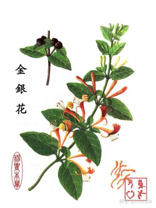 痿证的中西医认识上的对比 知乎