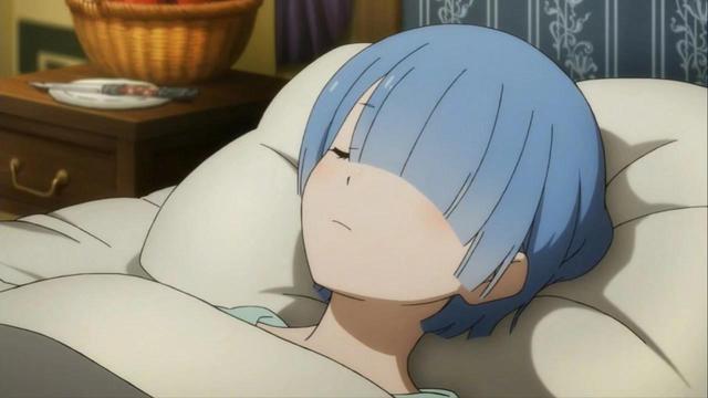 死宅钱真好骗制作方设计雷姆沉睡布偶对于雷姆党来说太残忍