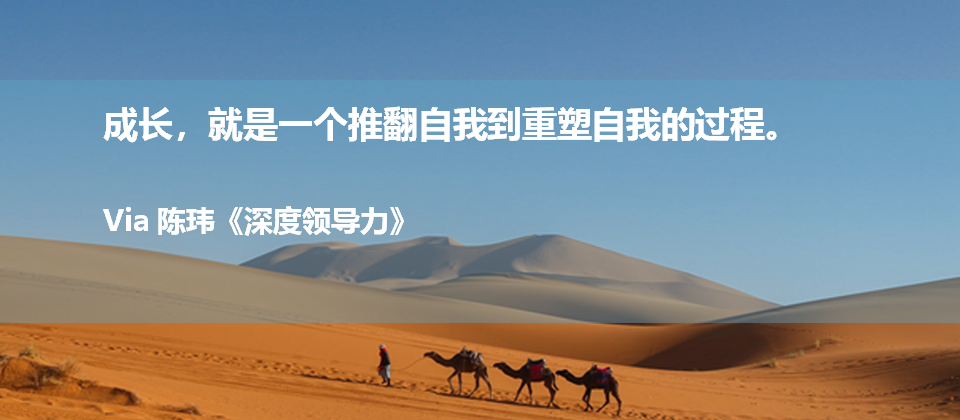 北大汇丰陈玮:重塑自我,个人领导力精进指南