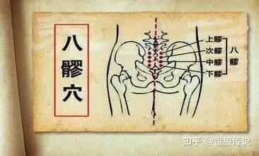 王增涛教授穴位实体结构解剖论文概述 - 知乎
