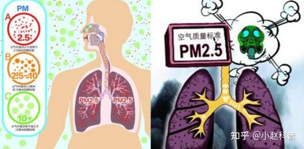 2026年除甲醛空气净化器选购指南:测评了3个爆热品牌,说点大实话!