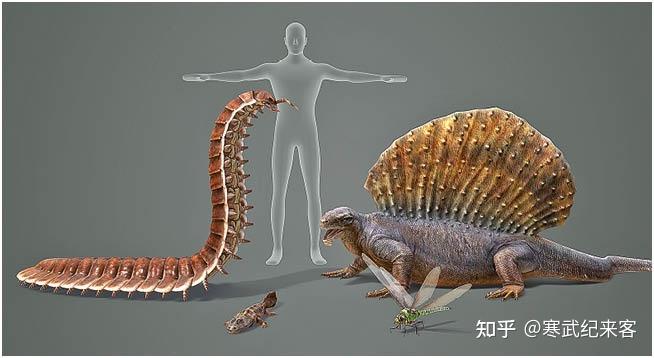 石炭纪,2.6米的巨型千足虫
