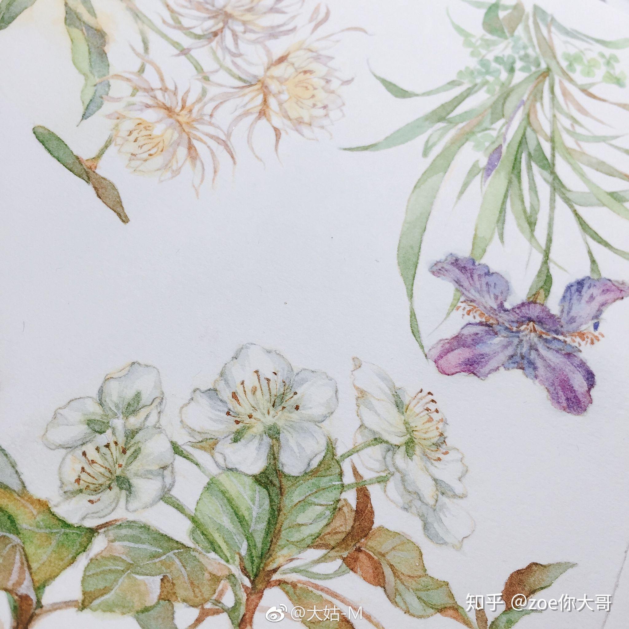 有适合新手临摹的水彩画吗？ - 知乎