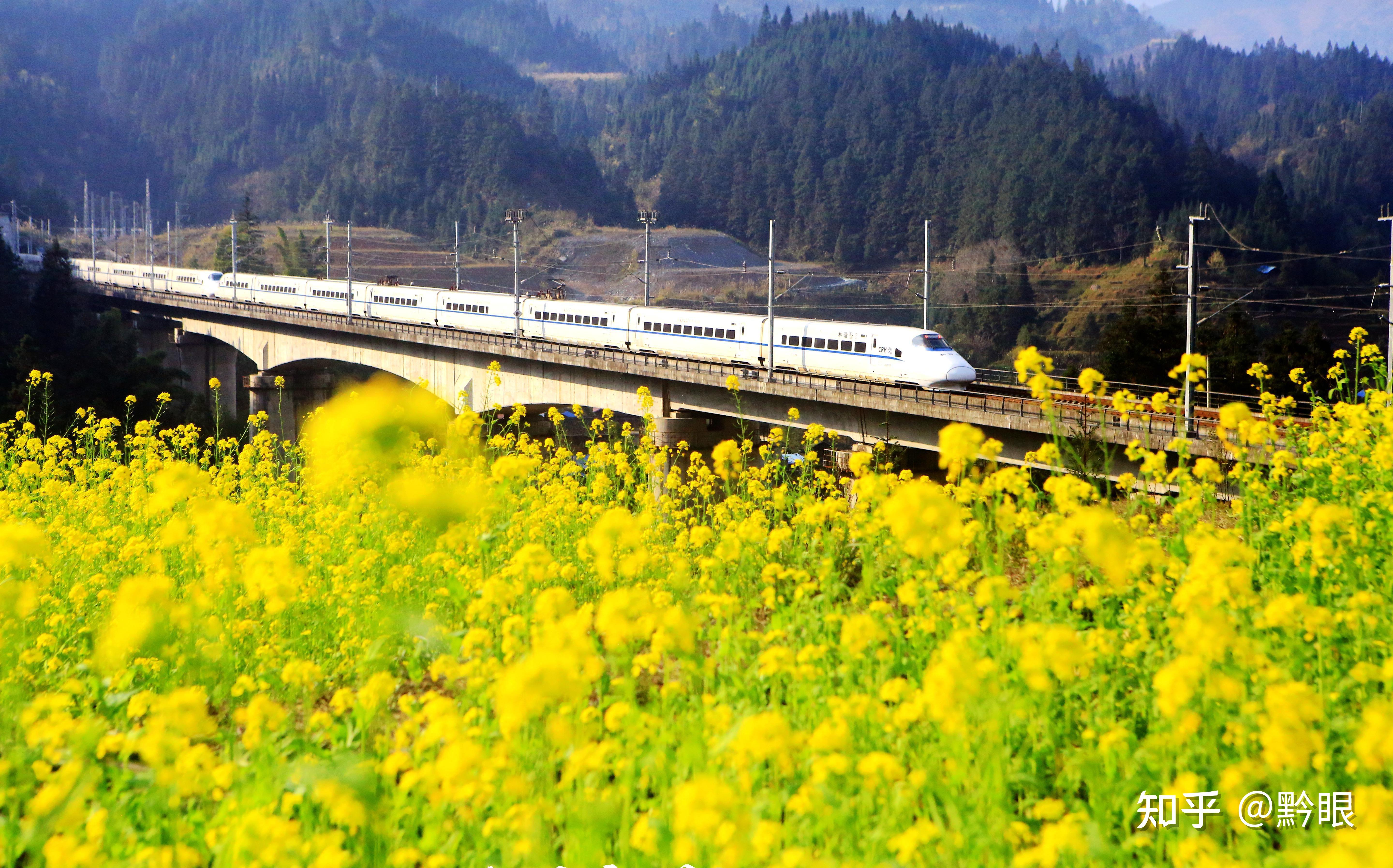 贵州村超交通便捷汇聚足球欢乐盛宴