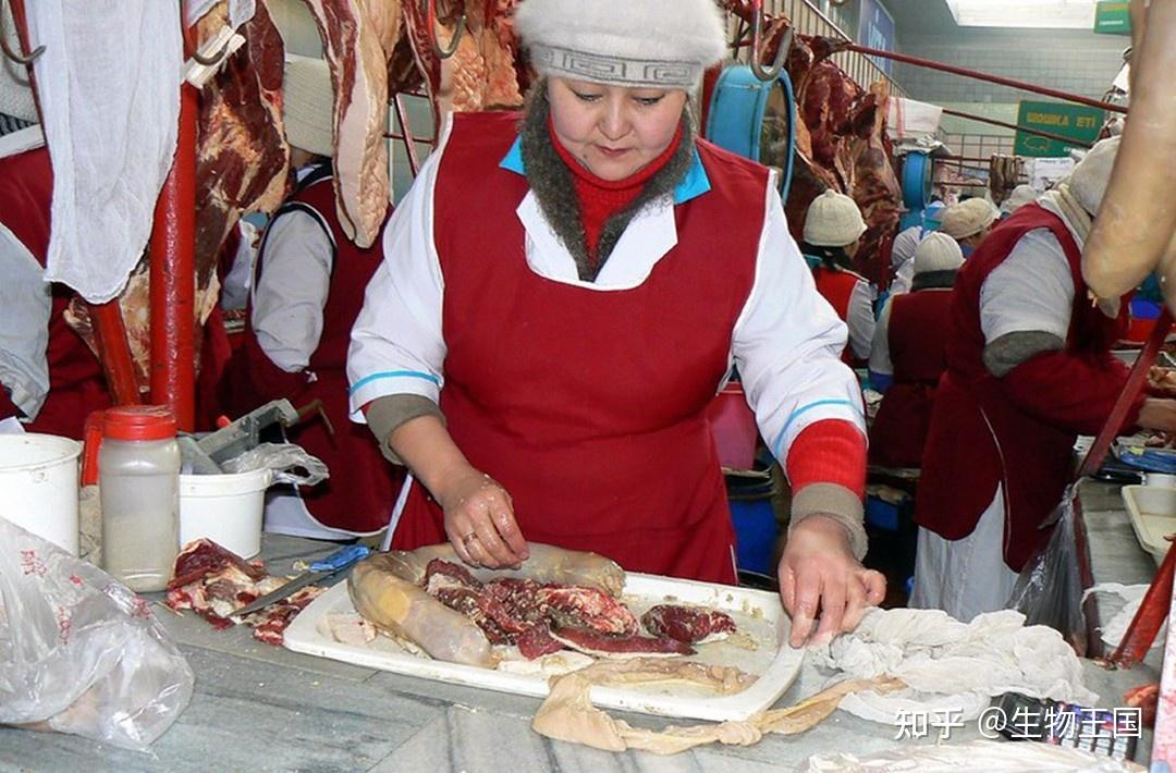 味道像牛肉的馬肉