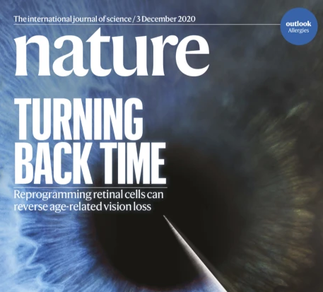 nature封面:抗衰老突破!基因疗法逆转表观遗传时钟,恢复小鼠视力