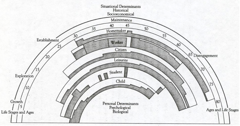 职识分子｜职业生涯发展理论 - 知乎