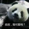 圩州简史 一 知乎