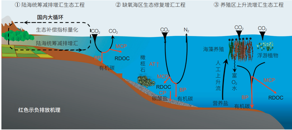海洋如何助力“双碳”目标的实现? - 知乎