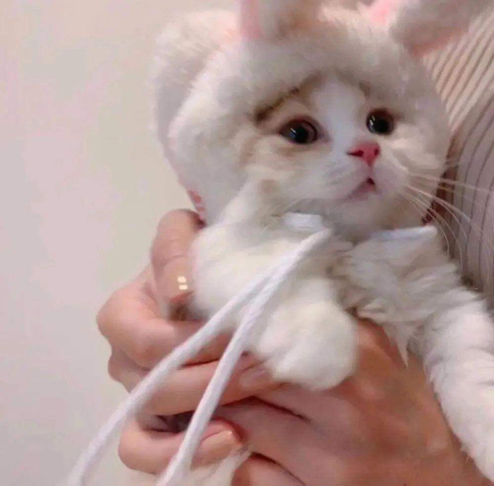 130张超好看的微信头像-好看微信头像男2021