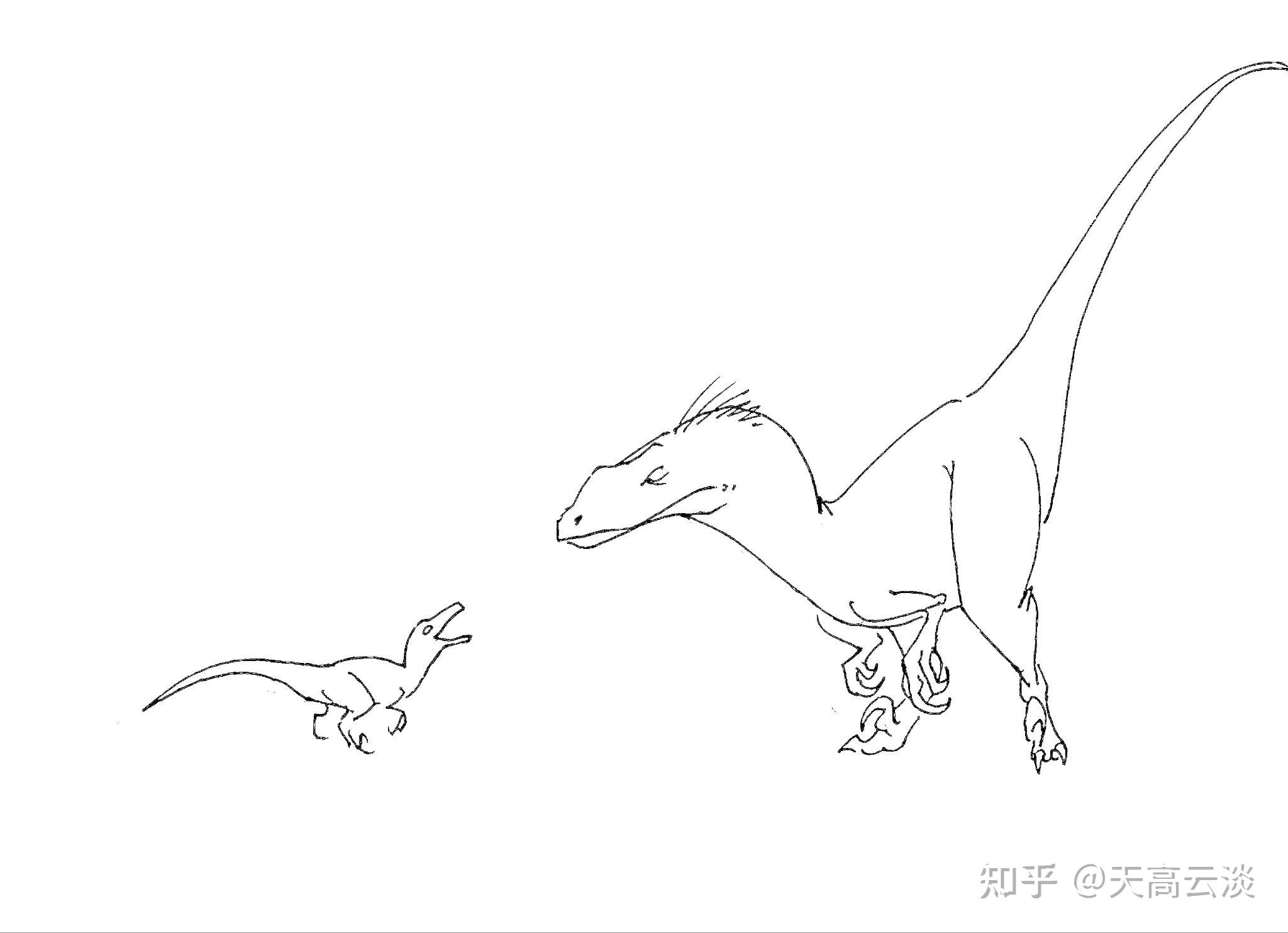 加利福尼亚太平洋沿岸,灰鲸群体海面休憩,无齿翼龙啄食藤壶.2.