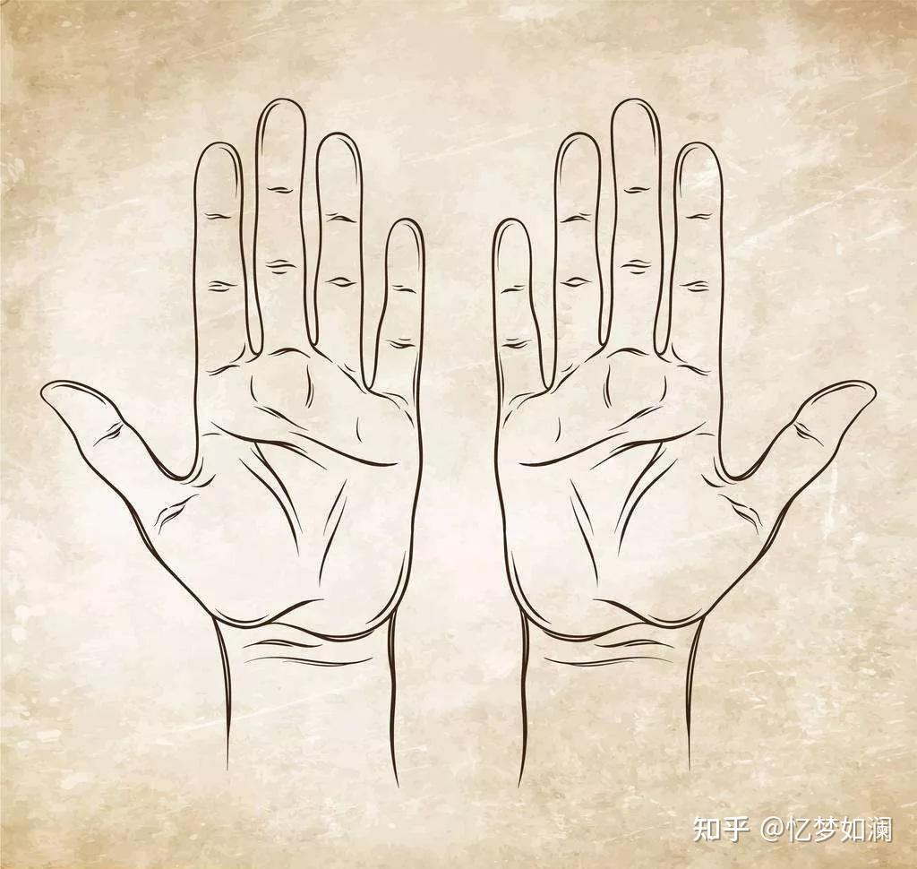一辈子富贵的九大掌纹，你有几个？ - 知乎