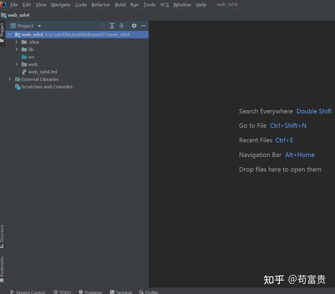 idea web hibernate 